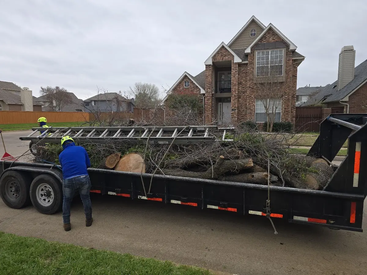 Expert Tree Fertilization with proper safety equipment in Hickory Plains